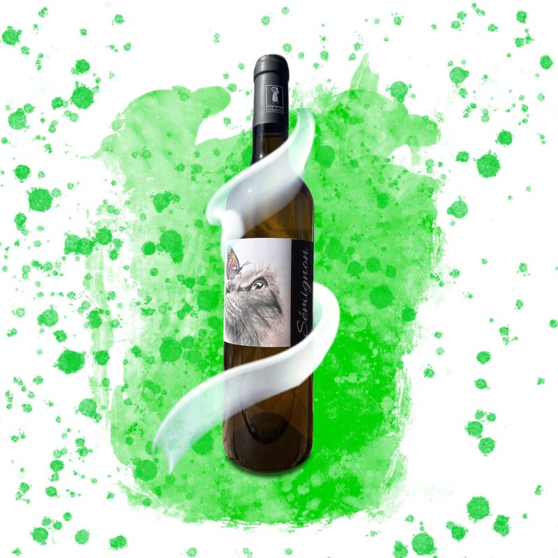 Blanc sec Semignon - Sans soufre ajouté