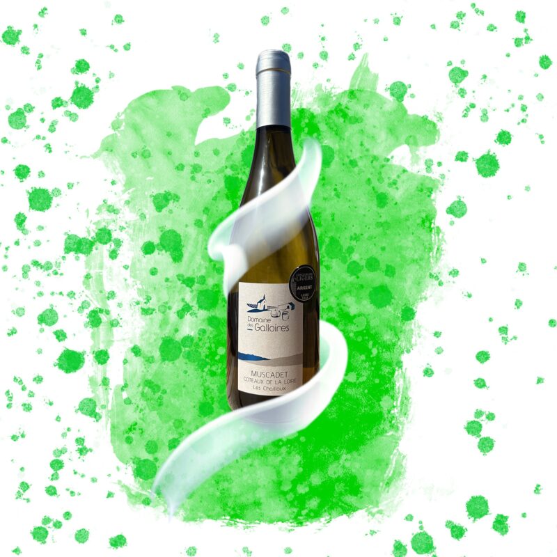 "Les Chailloux" Muscadet Côteaux de la Loire sur Lie