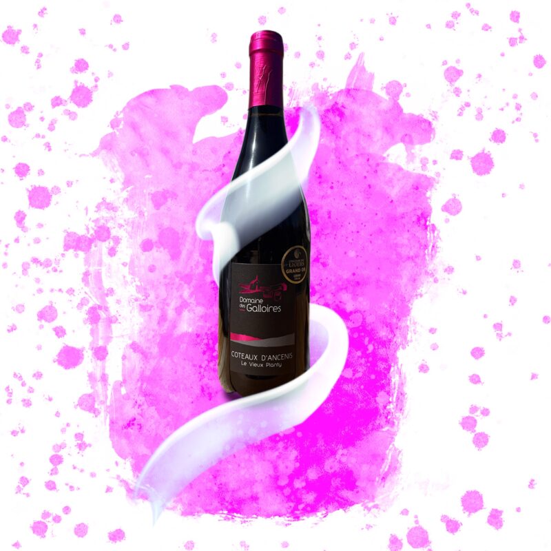 « Le Vieux Planty » - Côteaux d’Ancenis Rouge