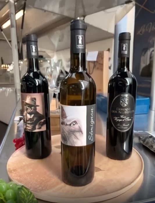 Lot-bouteilles-le vin en soie